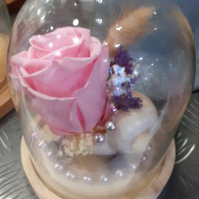 Rose éternelle sous cloche